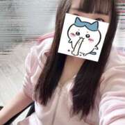 ヒメ日記 2026/04/06 13:02 投稿 ハナミズキ 飾窓