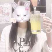 ヒメ日記 2026/04/08 15:25 投稿 ハナミズキ 飾窓