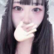 ヒメ日記 2026/04/11 11:41 投稿 ハナミズキ 飾窓