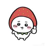 ヒメ日記 2026/04/14 15:57 投稿 ハナミズキ 飾窓