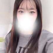 ヒメ日記 2026/04/18 14:07 投稿 ハナミズキ 飾窓