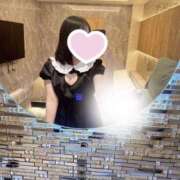 ヒメ日記 2026/04/23 11:27 投稿 ハナミズキ 飾窓