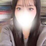 ヒメ日記 2026/04/24 13:45 投稿 ハナミズキ 飾窓