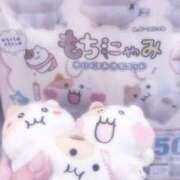 ヒメ日記 2026/04/26 11:50 投稿 ハナミズキ 飾窓