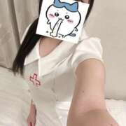 ヒメ日記 2026/05/08 11:58 投稿 ハナミズキ 飾窓
