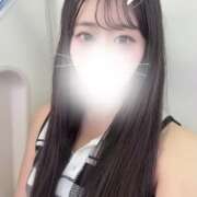 ヒメ日記 2026/05/28 13:09 投稿 ハナミズキ 飾窓