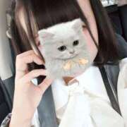 ヒメ日記 2025/08/07 11:19 投稿 うらら One More 奥様　松戸店