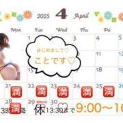 ヒメ日記 2025/04/30 09:02 投稿 島村　こと YOKOHAMA FIVESTAR（横浜ファイブスター）