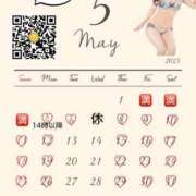 ヒメ日記 2025/05/04 18:02 投稿 島村　こと YOKOHAMA FIVESTAR（横浜ファイブスター）