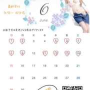 ヒメ日記 2025/05/15 00:01 投稿 島村　こと YOKOHAMA FIVESTAR（横浜ファイブスター）