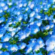 ヒメ日記 2025/05/16 00:00 投稿 島村　こと YOKOHAMA FIVESTAR（横浜ファイブスター）