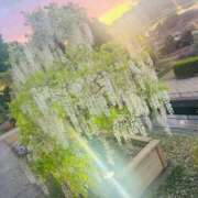 ヒメ日記 2025/05/19 09:15 投稿 島村　こと YOKOHAMA FIVESTAR（横浜ファイブスター）