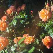 ヒメ日記 2025/06/07 09:15 投稿 島村　こと YOKOHAMA FIVESTAR（横浜ファイブスター）