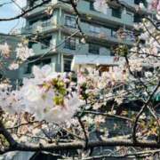 島村　こと すっかり。 YOKOHAMA FIVESTAR（横浜ファイブスター）