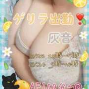 ヒメ日記 2025/08/23 15:46 投稿 灰音（はいね） 熟女の風俗最終章　鶯谷店