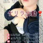 ヒメ日記 2025/12/18 10:36 投稿 灰音（はいね） 熟女の風俗最終章　鶯谷店