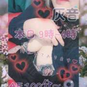 ヒメ日記 2026/01/20 12:06 投稿 灰音（はいね） 熟女の風俗最終章　鶯谷店