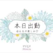ヒメ日記 2025/05/16 09:30 投稿 みすず luxury spa 風雅