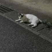 ヒメ日記 2025/09/23 11:52 投稿 ちな 千葉人妻セレブリティ（ユメオト）