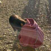 ヒメ日記 2025/11/06 00:15 投稿 ちな 千葉人妻セレブリティ（ユメオト）