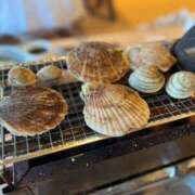 ヒメ日記 2026/02/17 13:45 投稿 ちな 千葉人妻セレブリティ（ユメオト）