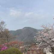 ヒメ日記 2026/04/30 00:45 投稿 ちな 千葉人妻セレブリティ（ユメオト）