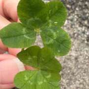 みさお おはよう(*´꒳`*) なでし娘