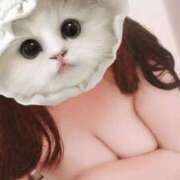 ヒメ日記 2025/04/23 07:57 投稿 かよ 川越ぷよステーション