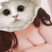 ヒメ日記 2025/05/21 08:53 投稿 かよ 川越ぷよステーション