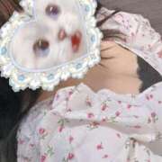 ヒメ日記 2025/09/10 10:19 投稿 かよ 川越ぷよステーション