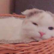 ヒメ日記 2026/01/25 22:05 投稿 かよ 川越ぷよステーション