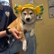 ヒメ日記 2026/08/02 21:33 投稿 ゆめ One More 奥様 鶯谷店