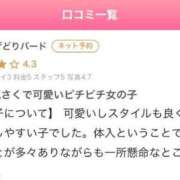ヒメ日記 2025/04/24 15:23 投稿 なるみ 手コキガールズコレクション