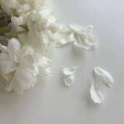 ヒメ日記 2025/11/18 09:56 投稿 姫川きき グランエステ東京 品川（シンデレラグループ）