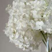 ヒメ日記 2025/11/18 16:59 投稿 姫川きき グランエステ東京 品川（シンデレラグループ）