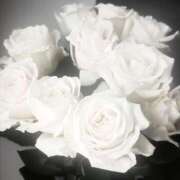 ヒメ日記 2025/11/25 12:50 投稿 姫川きき グランエステ東京 品川（シンデレラグループ）