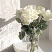 姫川きき ? スタート ? グランエステ東京 品川（シンデレラグループ）