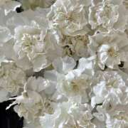 姫川きき ? 今月終わり ? グランエステ東京 品川（シンデレラグループ）