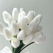 姫川きき ? 本指 Y様 ? グランエステ東京 品川（シンデレラグループ）