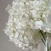 ヒメ日記 2025/12/11 19:03 投稿 姫川きき グランエステ東京 品川（シンデレラグループ）