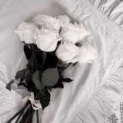 ヒメ日記 2025/12/15 09:40 投稿 姫川きき グランエステ東京 品川（シンデレラグループ）