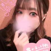 ヒメ日記 2025/04/24 12:15 投稿 びび プロフィール奈良店