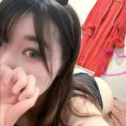 ヒメ日記 2025/04/29 14:55 投稿 びび プロフィール奈良店