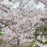 ヒメ日記 2026/03/31 00:34 投稿 七瀬 十恋人～トレンド～