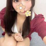 ヒメ日記 2025/09/25 07:18 投稿 りこ 萌えカワ