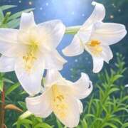 奈穂(なほ) おはようございます！⭐︎ 可憐な妻たち 高崎店