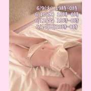 ヒメ日記 2026/06/06 19:32 投稿 白井　くるみ YUDEN〜油殿〜谷九・日本橋店