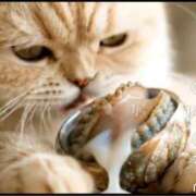 ヒメ日記 2025/09/26 15:51 投稿 りょう(昭和43年生まれ) 熟年カップル名古屋～生電話からの営み～