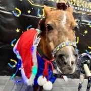 ヒメ日記 2026/01/01 08:45 投稿 春【はる】 輝女