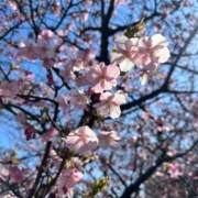 ヒメ日記 2026/02/09 12:15 投稿 春【はる】 輝女